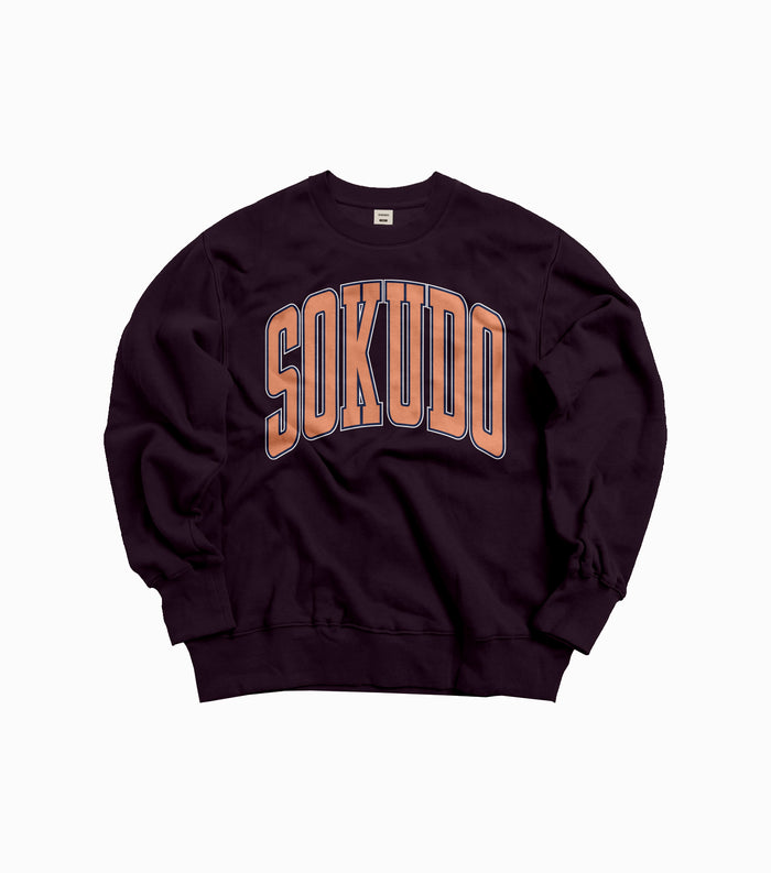 Sokudo Arc V2 Sweater - Plum